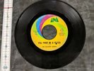 The Lollipop Shoppe You Must Be A Witch 45 Rare