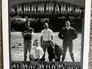 STORMWATCH At War With Peace LP American Skinhead Rebelles ROR ISD Dim Records
