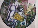 Indigo De Souza - Any shape you take - LTD EDITION PICTURE VINYL - NEW SEALED
