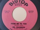 Del Shannon FROM ME TO YOU / TWO SILHOUETTES (ROCK 45) #3152 PLAYS VG+ TO VG++