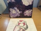 The Stranglers x3 Vinyl- La Folie+The Gospel According Men in Black OIS + 10 OIS