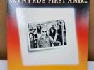 Original 1978 Lynyrd Skynyrd 