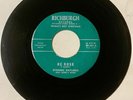 Dynamic Gaylarks GOSPEL SOUL 45 He Rose /Child Do Love Jesus RICHBURGH VG++ HEAR
