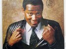 LUTHER VANDROSS NEVER TOO MUCH EPIC 253P334 JAPAN VINYL LP