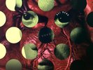 David Byrne - Rei Momo LP (VG+/VG+) '*