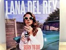 Born To Die Rare Coloured Vinyl - Lana Del Rey