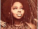 Angie Stone - Mahogany Soul '01 2xLP US ORG EX-/VG+
