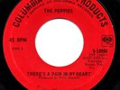 THE POPPIES - THERE'S A PAIN IN MY HEART 7