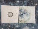 The Living Dream & Baby Rise - RARE 1990's Oboro - Electronic Acid House Vinyl