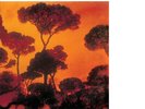 Tamba 4 Samba Blim (Vinyl) 12