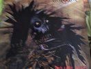 Protector Urm The Mad LP First Press Atom H 010