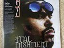 Big Pun - Capital Punishment VMP Limited Edition 