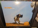 The Cardigans - EMMERDALE - Vinyl LP - NEW & SEALED  Rare Album