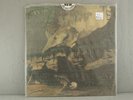 RAINFOREST SPIRITUAL ENSLAVEMENT Flying Fish Ambience LP 2x VINYL Record NEW