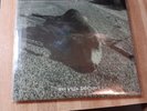 Pearl Jam Who Killed Rudolph? 45 LP Used 1992 Sony Music
