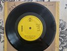 Redbone – Come And Get Your Love  7 Inch Vinyl Epic EPC  RARE S EPC 1944