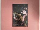 Hayley Williams - Petals For Armor & Flowers For Vases/descansos (3LP Boxset)