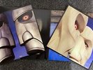 Pink Floyd The Division Bell 180 Grams Double Vinyl - CG F27