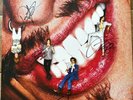 The Darkness - Pinewood Smile - 2017 Lim Ed Red Vinyl & Signed - unplayed.