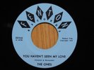 The Ones Michigan soul rock 45 You Haven't Seen My Love bw Happy Day on Fenton