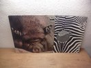 Kin Ping Meh 2, Krautrock original german 1st.Press Zebra 1972