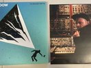The Mountain Will Fall by DJ Shadow Black Vinyl Record, 2016 Run The Jewels