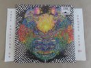 SEALED MEATBODIES SELF TITLED 2014 LP CHAD UBOVICH OF FUZZ; PANGEA ITR268