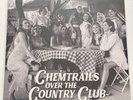 LANA DEL REY Chemtrails Over The Country Club Grey Vinyl LP New & Sealed