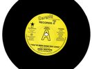 ANN SEXTON You've Been Gone Too Long -New Northern Soul Crossover DEMO 45 Listen