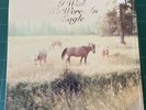 BILL CALLAHAN SOMETIMES I WISH WE WERE AN EAGLE LP