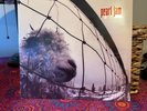 Pearl Jam VS vinyl album OG from 1993 NEVER OPENED