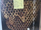 Rare 2LP Vinyl Record Telefon Tel Aviv Map of What is Effortless Downtempo