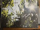 Flea Helen Burns Lp Ep