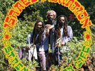 Israel Vibration - Strength of My Life - LP
