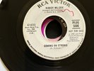 Rare Northern Soul Nancy Wilcox Coming on strong