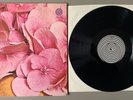 STILL LIFE Progressive Rock VERTIGO-  Vinyl Schallplatte 1971