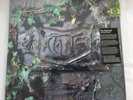 The Damned - The Black Album - Opaque Grey vinyl USA issue 2014 -  355/500 MINT