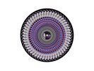 Olivia Rodrigo Guts Spilled Zoetrope Vinyl /10,000 Sold Out Presale 7/19/24