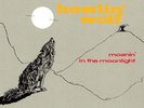 Howlin' Wolf Moanin' in the Moonlight (Vinyl)
