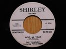 The Treasures and Pete Anders pop rock vocal group promo 45 Pete Meets Vinnie