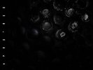 Crumb Ice Melt (Vinyl) 12
