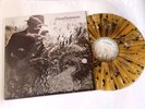 Rich Robinson – The Ceaseless Sight. Ltd Ed 2x splatter LP. Black Crowes / rock