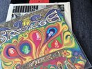 The Savage Resurrection 1968 Original US LP Psych MERCURY