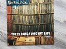 Fatboy Slim You've Come a Long Way, Baby Vinyl Double LP Record 1998