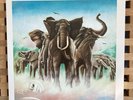 Elvis Costello & The Attractions - Armed Forces. Mobile Fidelity MFSL 180g LP
