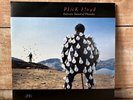 Pink Floyd Delicate Sound of Thunder 12