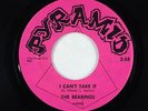 Garage 45 - Bearings - I Can't Take It/Anything You Want - Pyramid - VG+