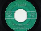 C&W Bluegrass 45 - Floyd Wilson - Love Song/Sunvalley Rid - Emerald - unknown?