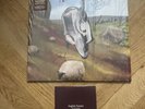 ENGLISH TEACHER This Could Be Texas MARBLE VINYL Lp Plus Bonus Cd SIGNED