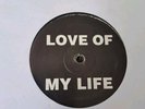 Dr Who aka Dougal - Love Of My Life - Rare Single Sided Happy Hardcore 1996